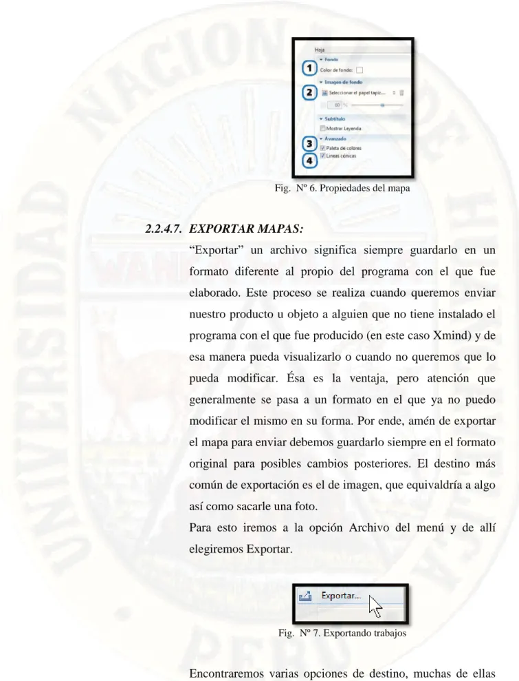 Fig.  Nº 6. Propiedades del mapa
