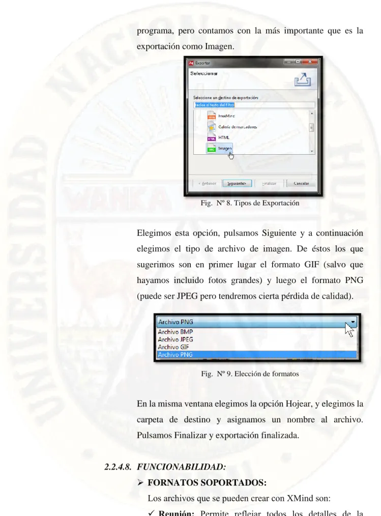 Fig.  Nº 8. Tipos de Exportación 