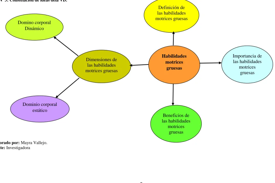 Fig. Nº 3: Constelación de ideas dela VD. 