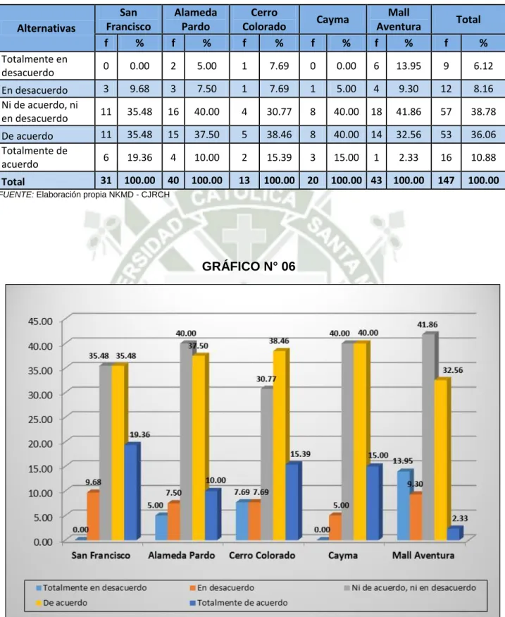 GRÁFICO N° 06 