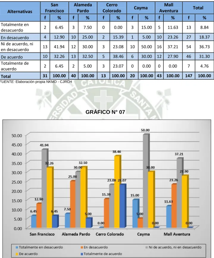 GRÁFICO N° 07 