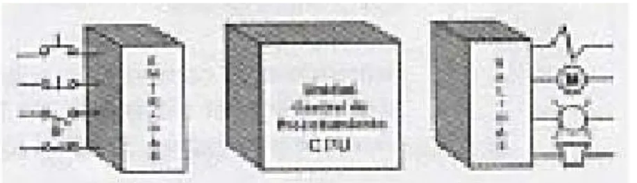 Fig. 2  CPU y la interfase de entradas y salidas. 