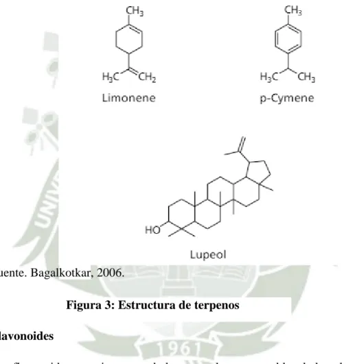 Figura 3: Estructura de terpenos 