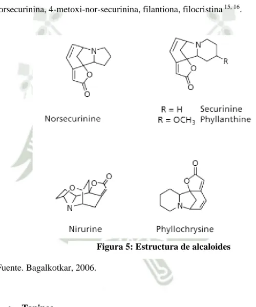 Figura 5: Estructura de alcaloides 