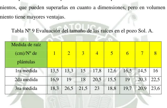 Tabla Nº 9 Evaluación del tamaño de las raíces en el pozo Sol. A. 