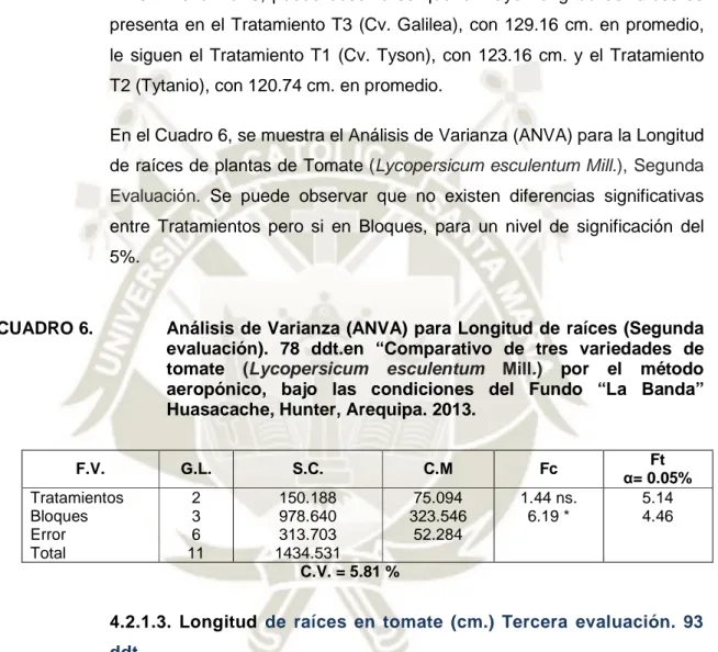 CUADRO 6.   Análisis de Varianza (ANVA) para Longitud de raíces (Segunda  evaluación)