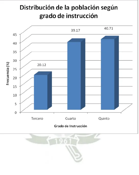 Gráfico N° 4. Población estudiada según grado de instrucción. 