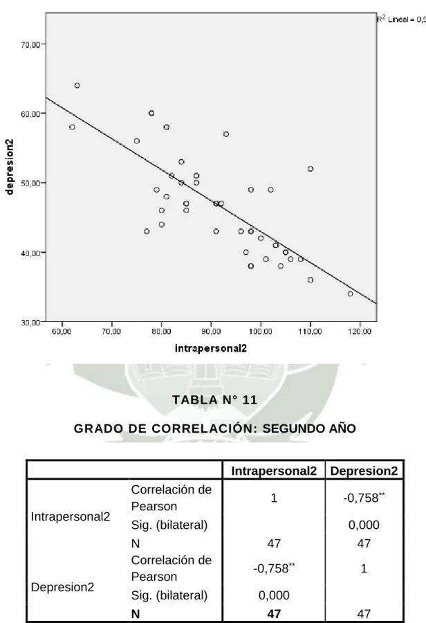 GRÁFICO N° 07 