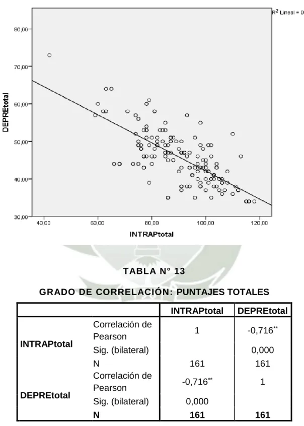 GRÁFICO N° 09 