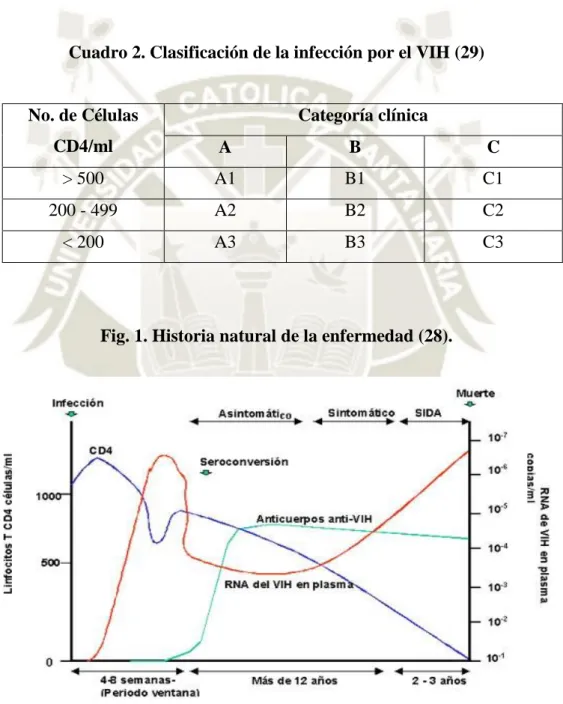 Cuadro 2. Clasificación de la infección por el VIH (29) 