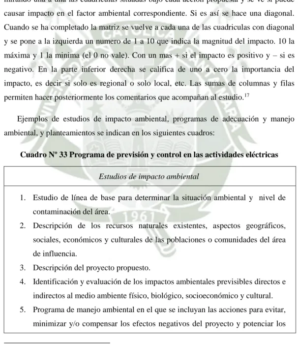 Cuadro Nº 33 Programa de previsión y control en las actividades eléctricas   Estudios de impacto ambiental  