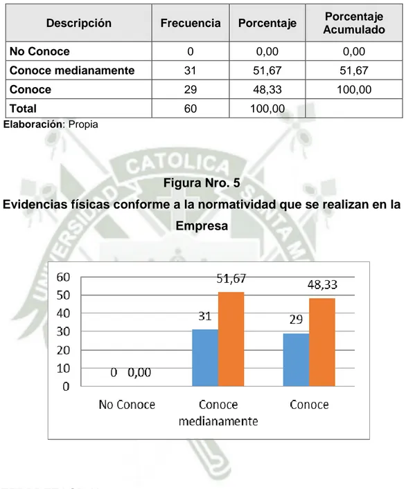 Figura Nro. 5 