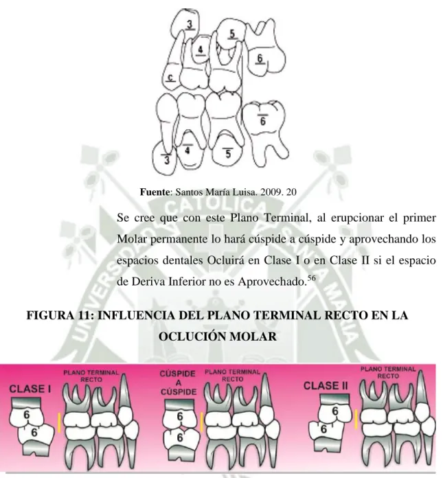 FIGURA 10: PLANO TERMINAL RECTO 