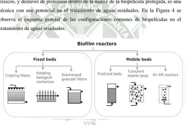 Figura 4. Esquema general de las configuraciones comunes para el tratamiento de  aguas residuales con biopelículas.