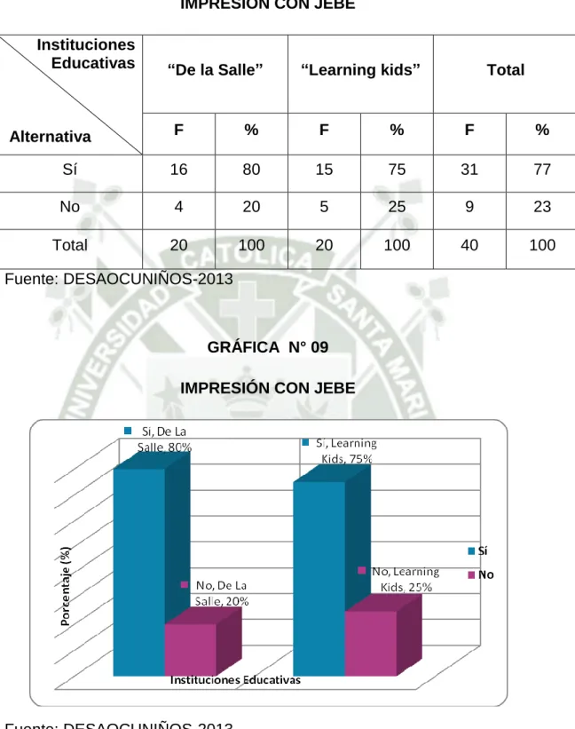 CUADRO N° 13  IMPRESIÓN CON JEBE  Instituciones                           