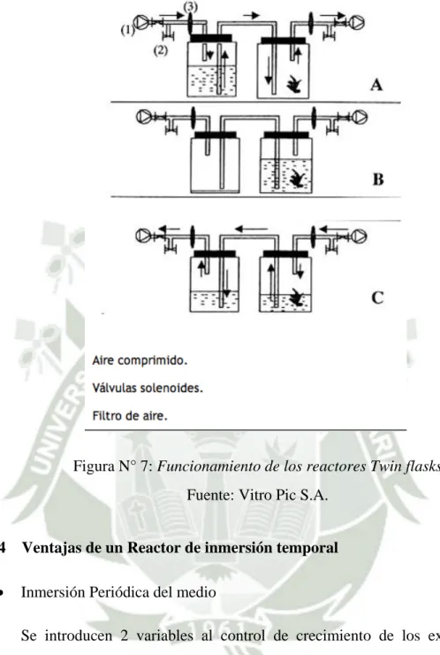 Figura N° 7: Funcionamiento de los reactores Twin flasks  Fuente: Vitro Pic S.A. 