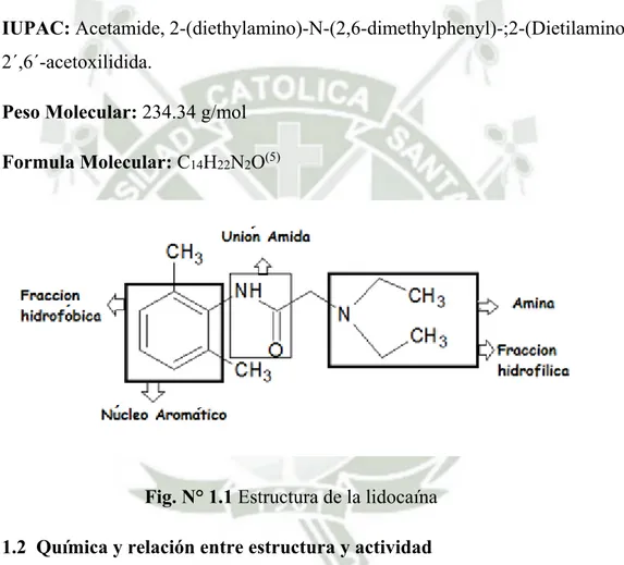 Fig. N° 1.1 Estructura de la lidocaína  1.2  Química y relación entre estructura y actividad 