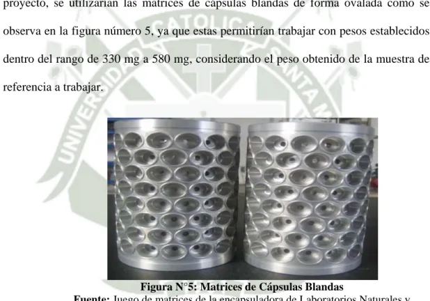 Figura N°5: Matrices de Cápsulas Blandas 