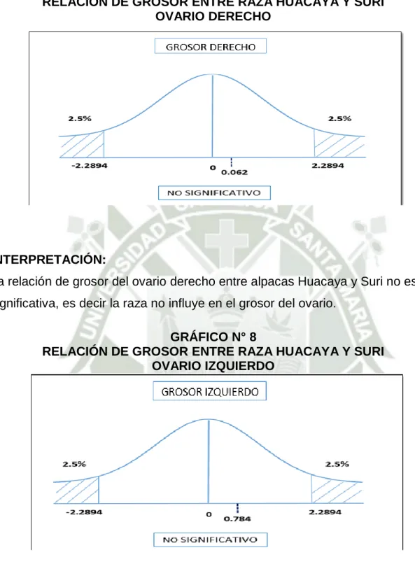 GRÁFICO N° 7 