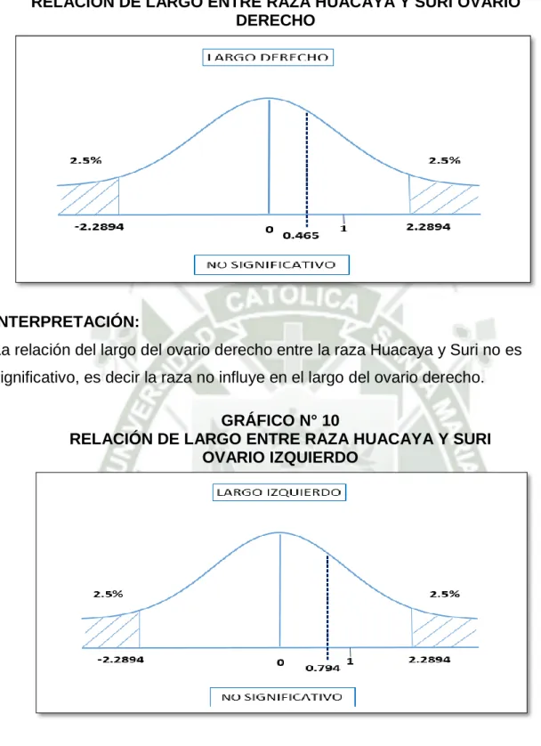GRÁFICO N° 9 