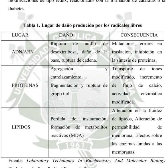 Tabla 1. Lugar de daño producido por los radicales libres 