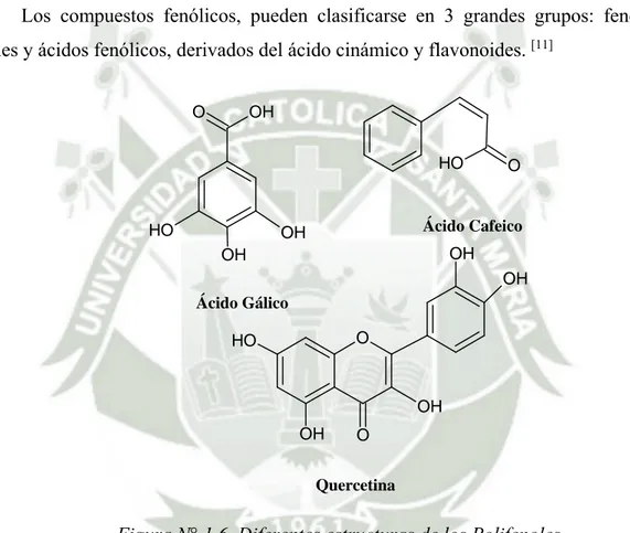 Figura N° 1.6. Diferentes estructuras de los Polifenoles 