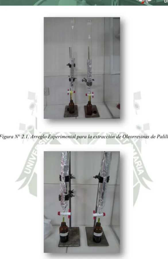 Figura N° 2.1. Arreglo Experimental para la extracción de Oleorresinas de Palillo 