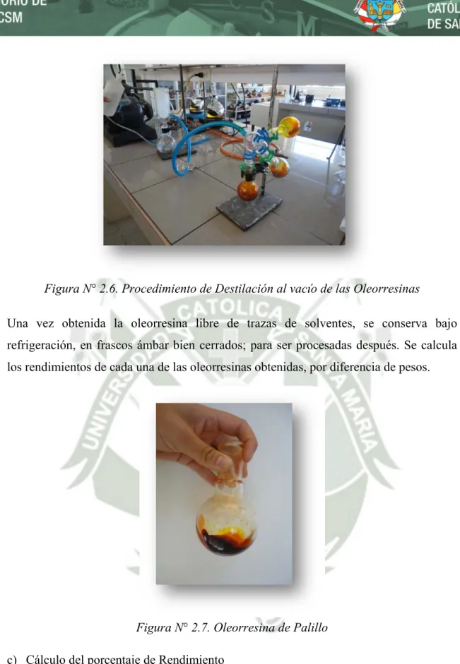 Figura N° 2.6. Procedimiento de Destilación al vacío de las Oleorresinas 