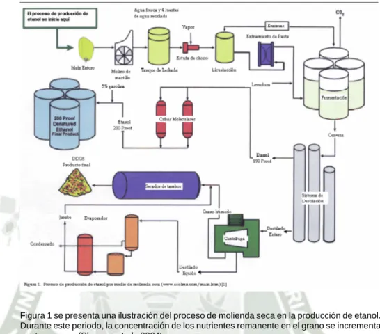 Figura 1 se presenta una ilustración del proceso de molienda seca en la producción de etanol
