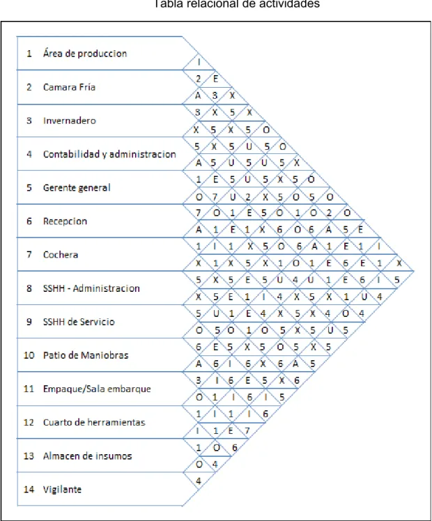 GRÁFICO N° 07 