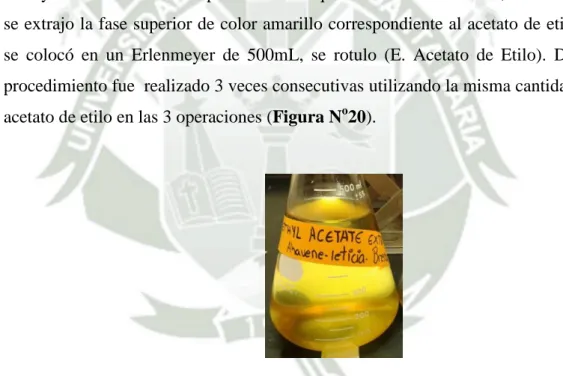 Figura N o 20: Extracto con Acetato de Etilo 