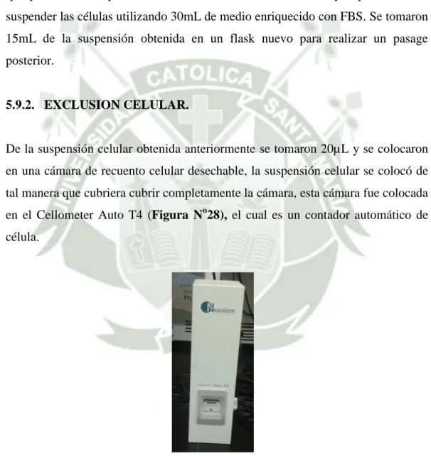 Figura N o 28: Cellometer Auto T4 