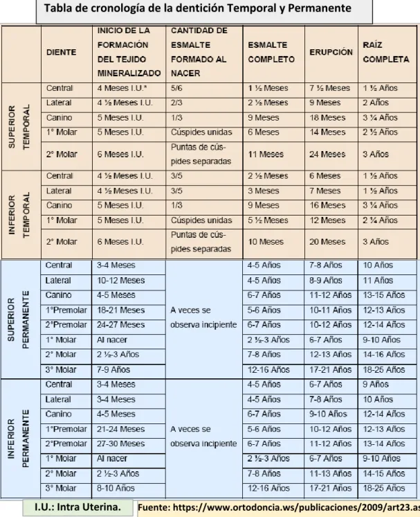 Tabla de cronología de la dentición Temporal y Permanente 