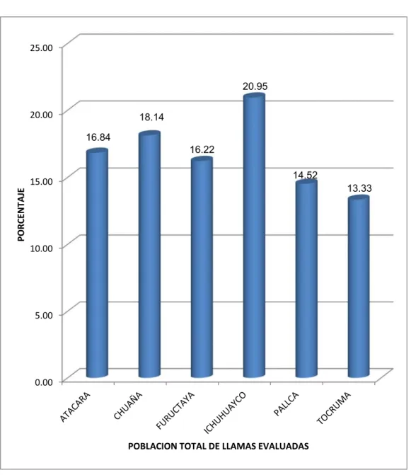 GRÁFICO Nº 1 