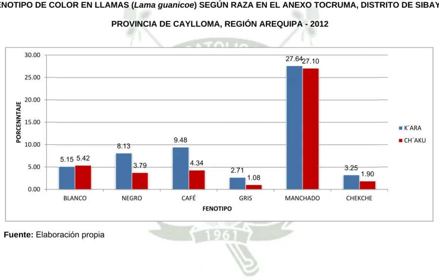 GRÁFICO Nº 9 