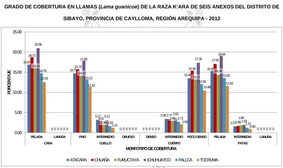 GRÁFICO Nº 10 