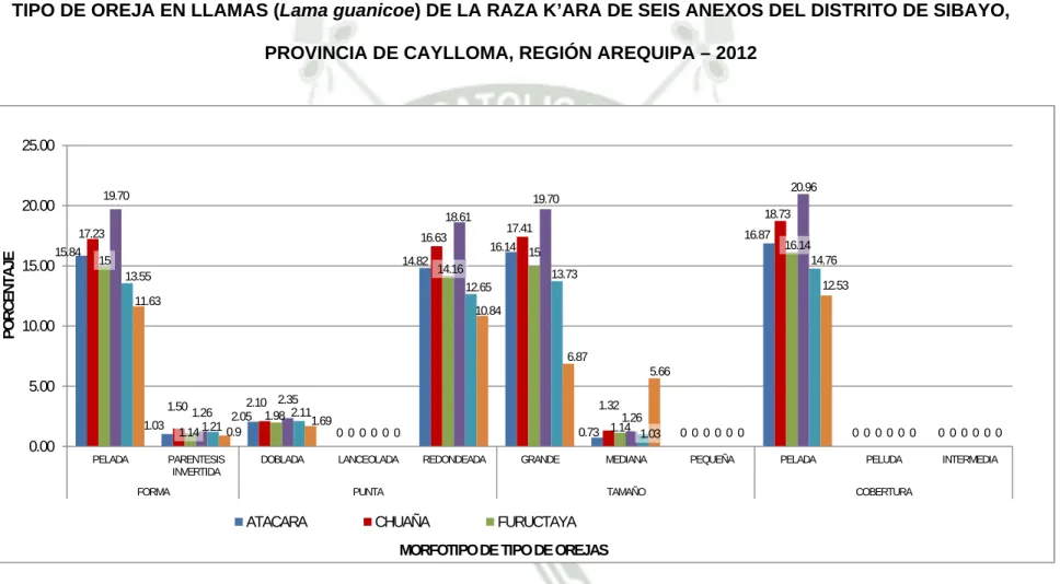 GRÁFICO Nº 12 