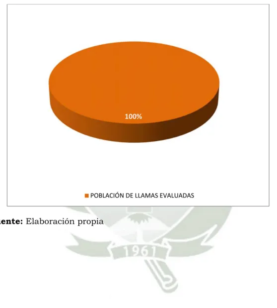 GRÁFICO Nº 1 