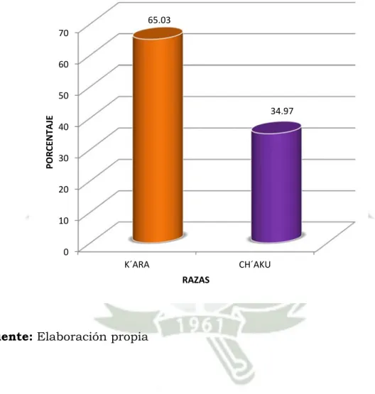 GRÁFICO Nº 2 