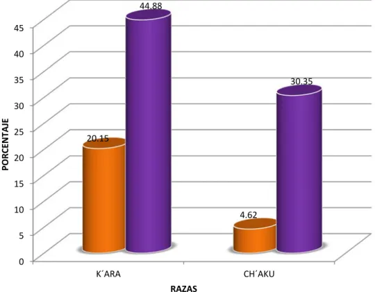GRÁFICO Nº 3 