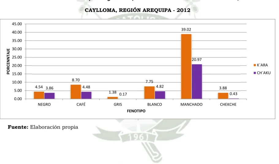 GRÁFICO Nº 5 