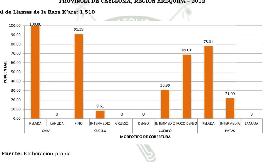 GRÁFICO Nº 6 