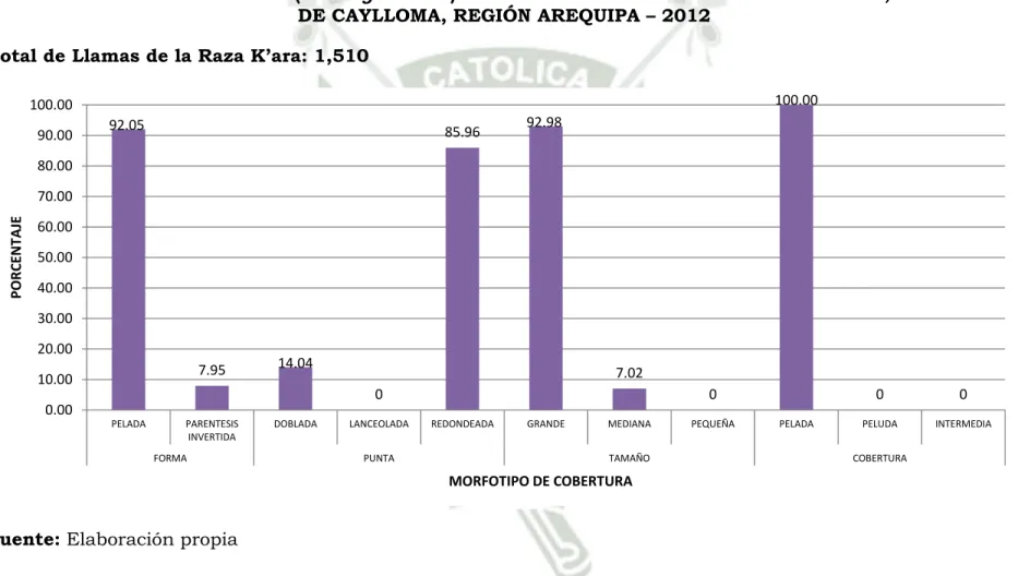 GRÁFICO Nº 8 