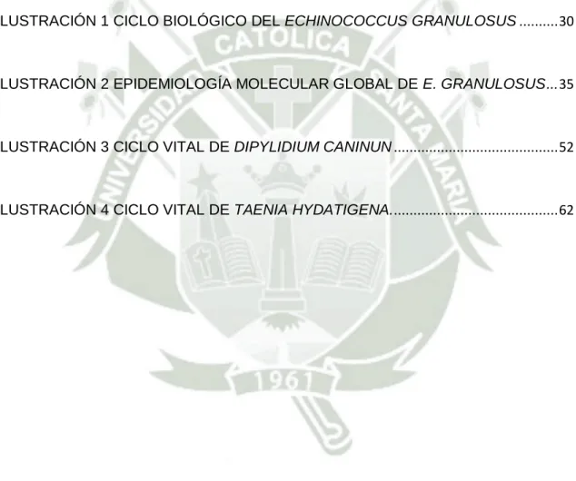 ILUSTRACIÓN 1 CICLO BIOLÓGICO DEL ECHINOCOCCUS GRANULOSUS .......... 30 