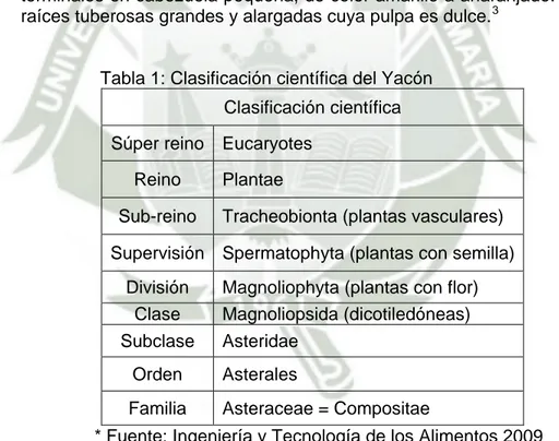 Tabla 1: Clasificación científica del Yacón  Clasificación científica Súper reino  Eucaryotes 