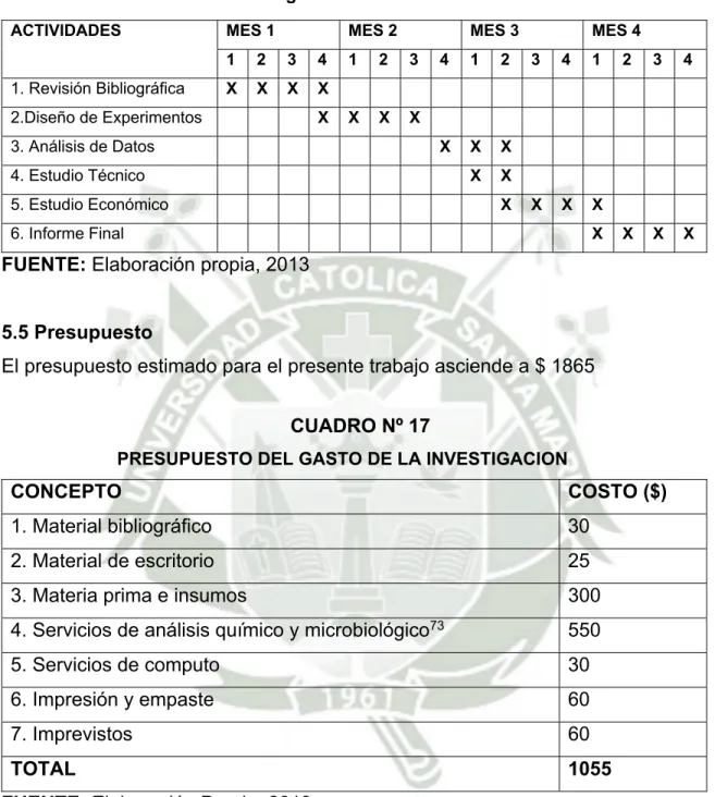 CUADRO Nº 16 Cronograma de actividades 