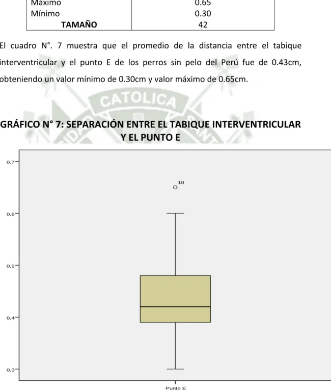 CUADRO N°. 7: SEPARACIÓN ENTRE EL TABIQUE  INTERVENTRICULAR Y EL PUNTO E 
