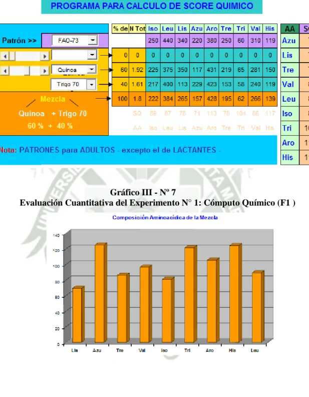 Gráfico III - Nº 7 