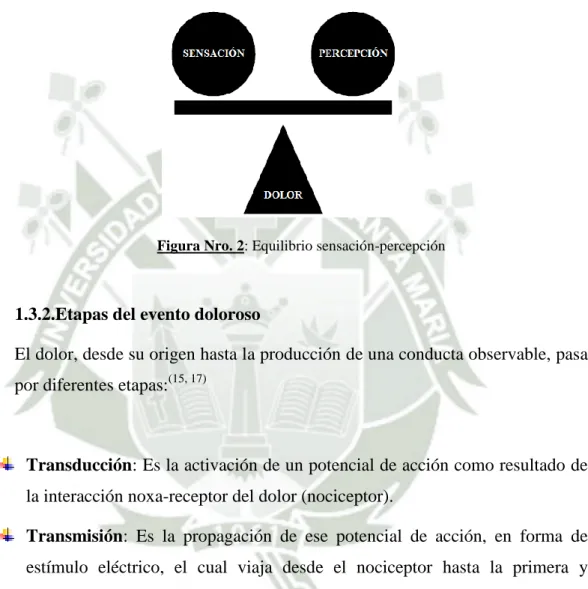Figura Nro. 2: Equilibrio sensación-percepción 