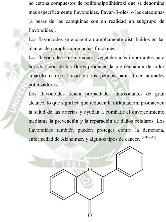 Figura 1.7 Estructura Química de los Flavonoides. 